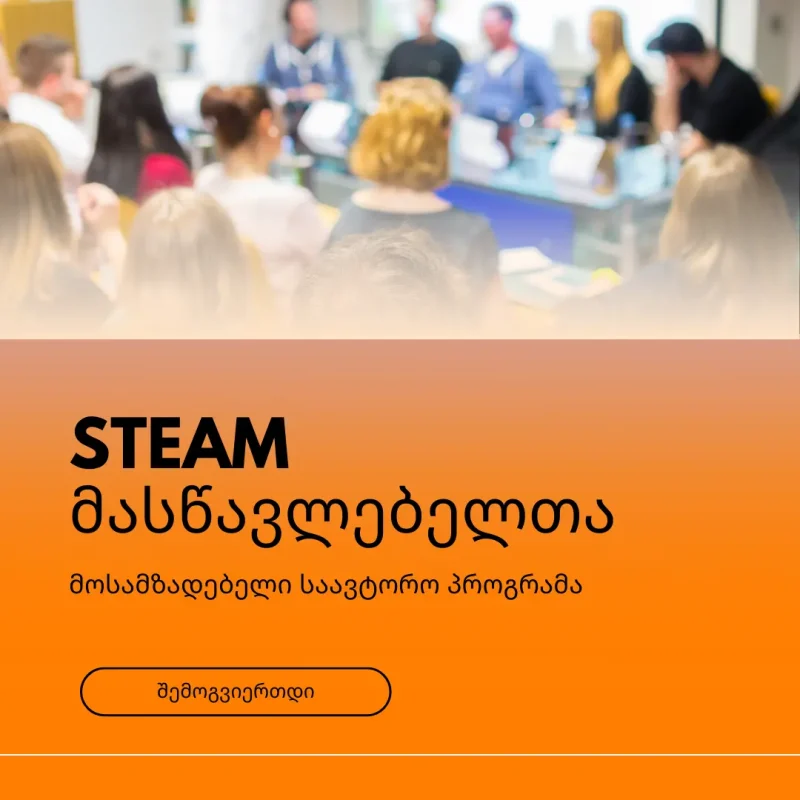 STEAM მასწავლებელი